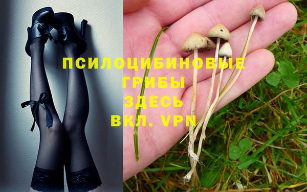 спайс Баксан