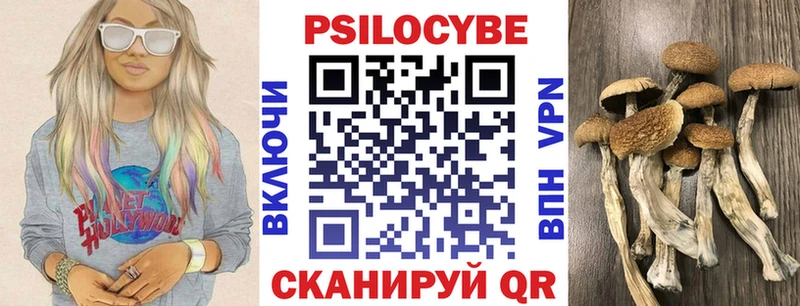 Галлюциногенные грибы Cubensis Купить Волжск
